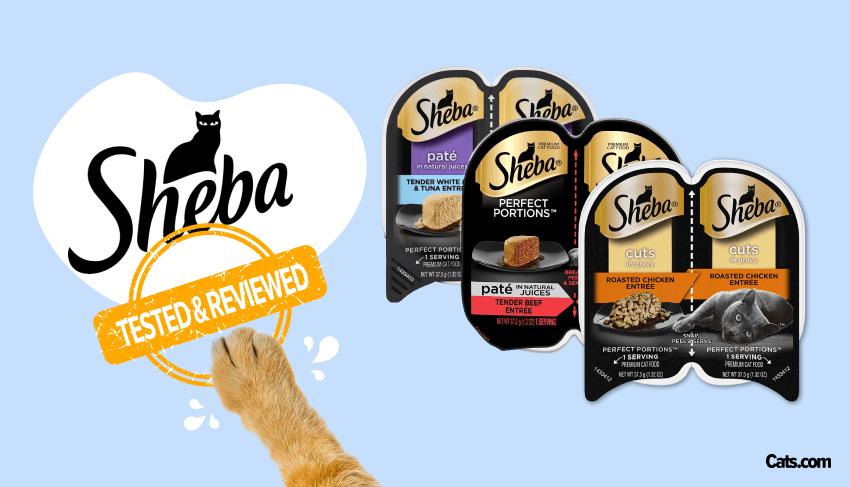 Is Sheba Cat Food Good for Cats?  Lets Look at the Ingredients and Find Out!