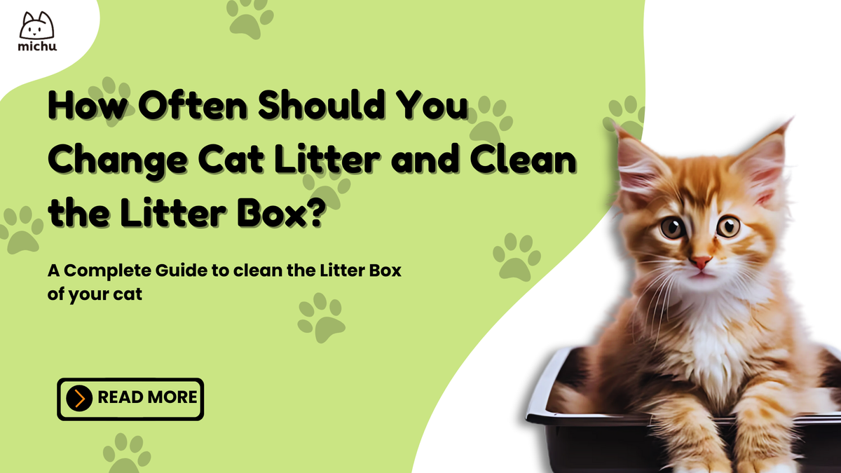 How Often Should You Change Worlds Best Cat Litter?  A Simple Guide for Cat Owners!