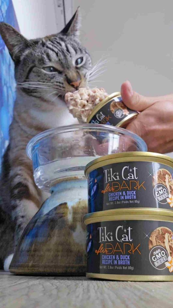 How Much Tiki Cat to Feed My Cat? Get the Best Advice from Cat Experts!