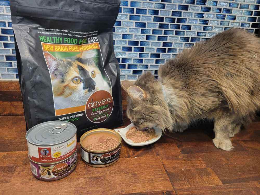 Daves Cat Food: Is It Good? (Heres What Cat Owners Say)