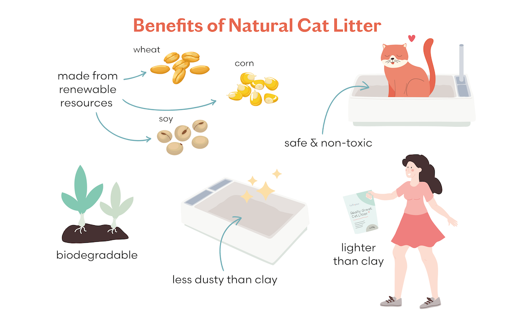 Yesterdays New Cat Litter vs Others See How It Compares