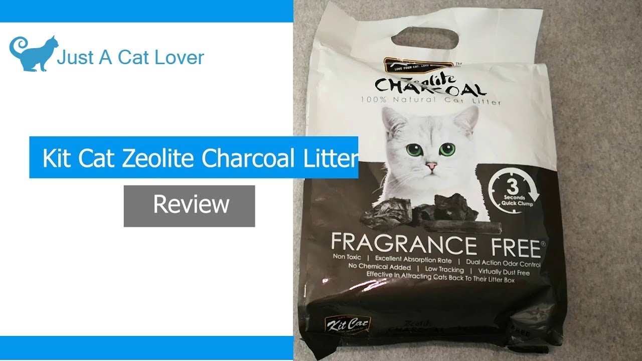 Cat Litter Box Filters: A Guide to Different Types (Charcoal, Zeolite, and More Explained!)