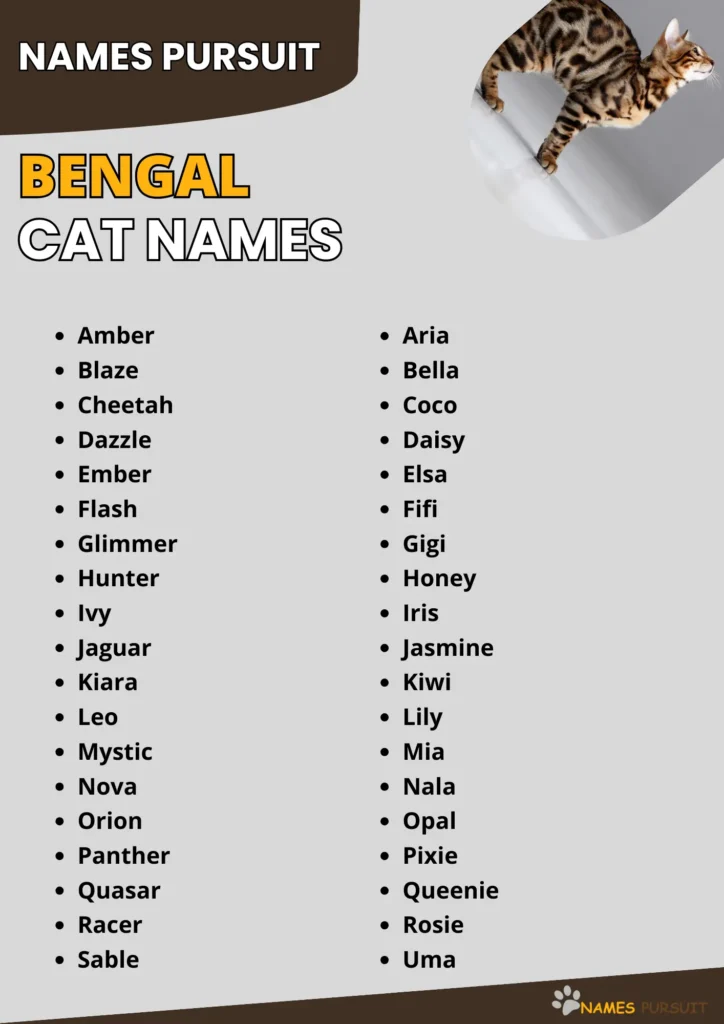 Cool Female Bengal Cat Names: Find a Name as Unique as Your Cats Spots!