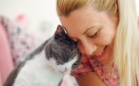 Why Does My Cat Not Like to Cuddle With Me? The Real Reasons Behind This Behavior!