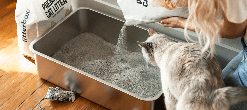 How Often Should You Change Worlds Best Cat Litter?  A Simple Guide for Cat Owners!