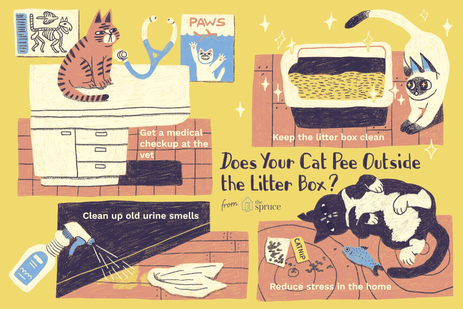 My Cat Pees Outside Litter Box: Why It Happens & Easy Fixes