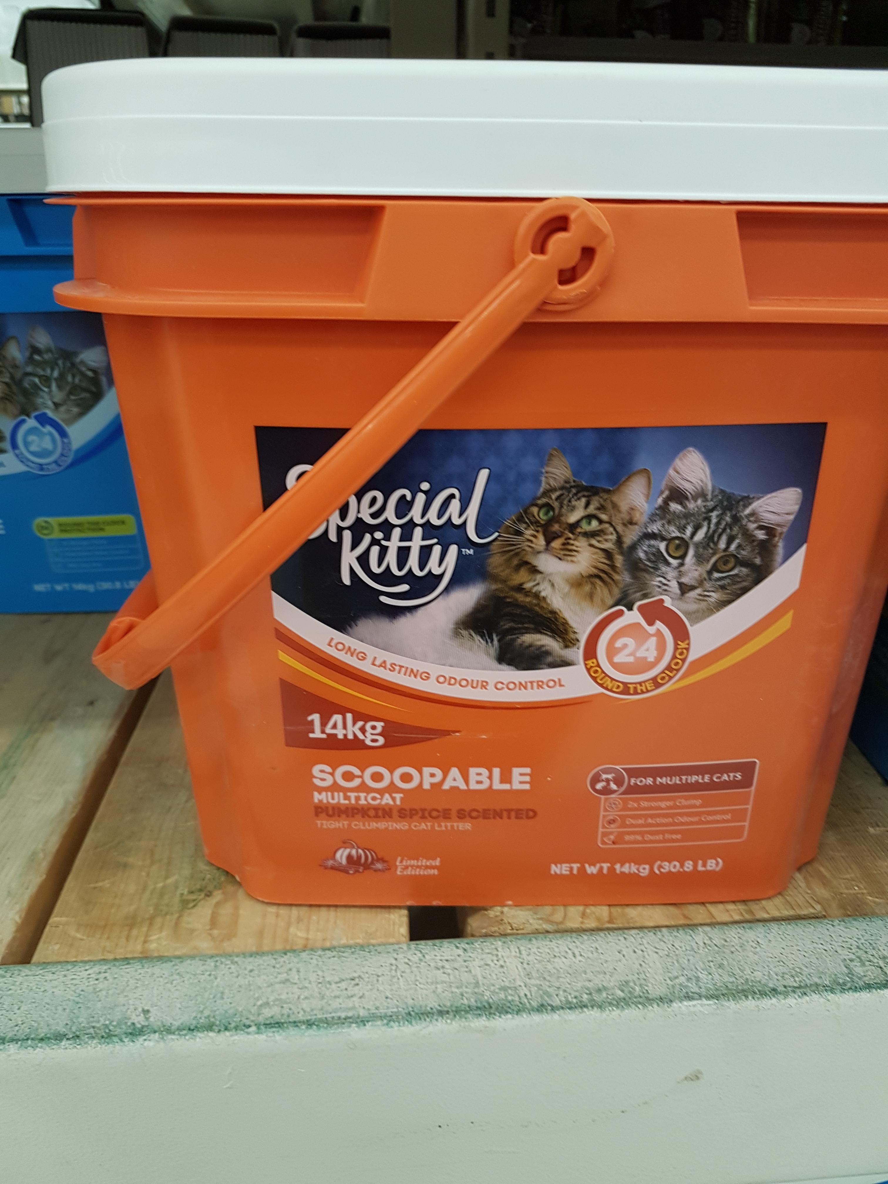 Pumpkin Spice Kitty Litter Reviews: What Are Cat Owners Saying? Real Opinions and Experiences Shared