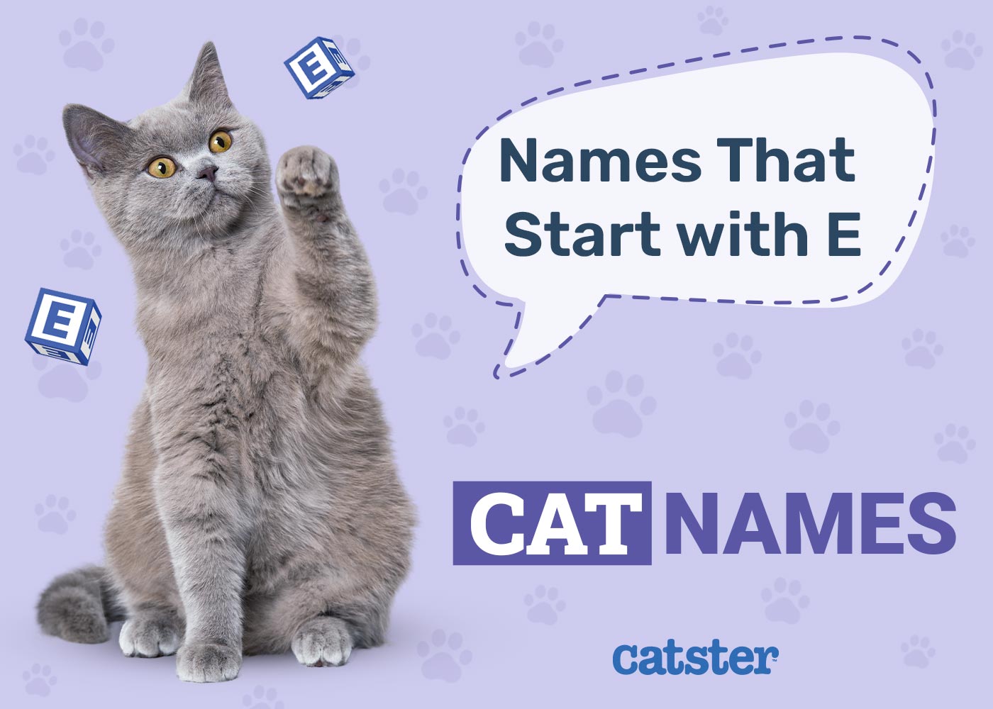 Need Cat Names Starting With E? Get Inspired Today!