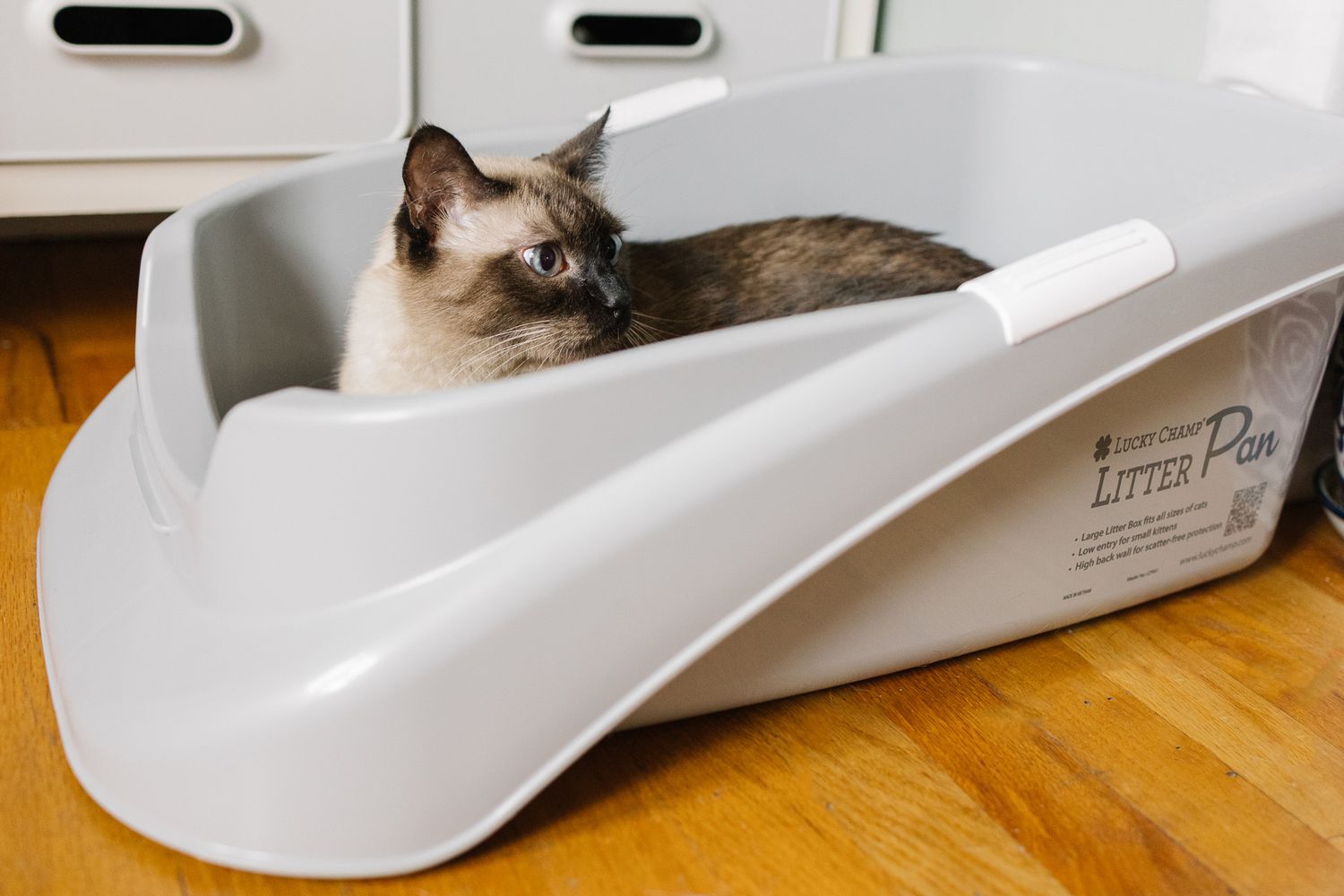 Need a Long Narrow Cat Litter Box? Best Options Reviewed!