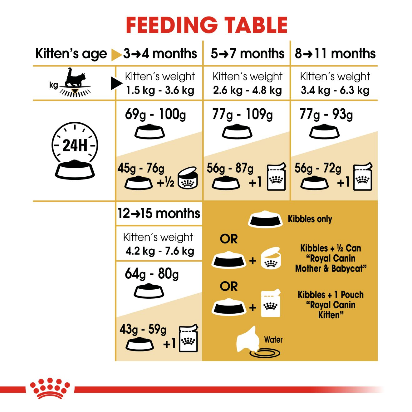 Maine Coon Feeding Chart: How Much Food is Right?