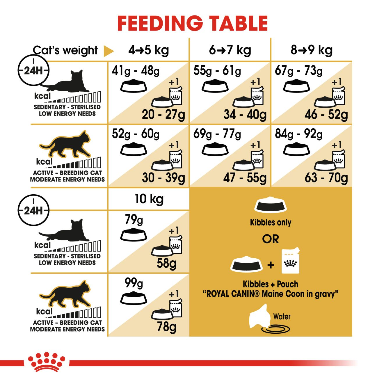 Maine Coon Feeding Chart: How Much Food is Right?