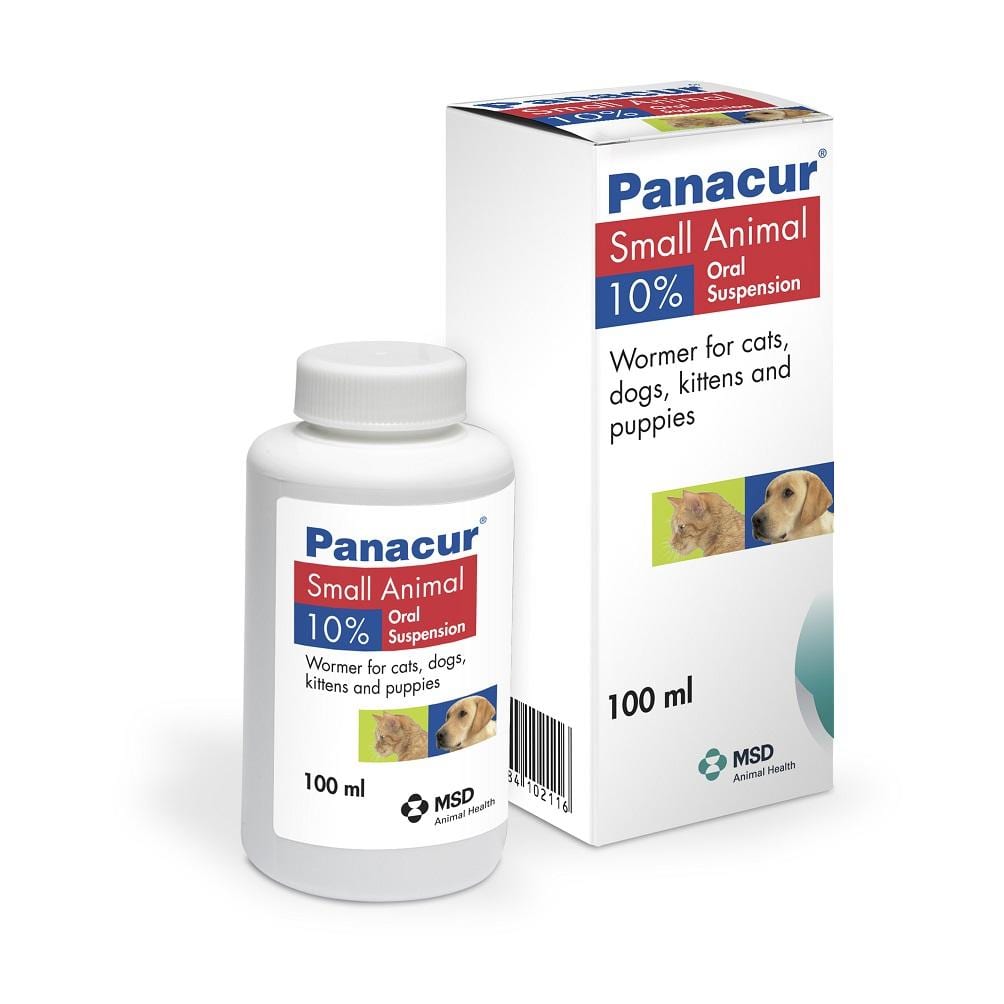 Panacur for Cats: Figuring Out the Right Dosage?