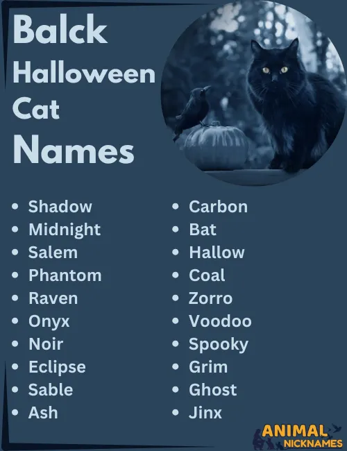 Vampire Names for Cats: Top Picks & Ideas for Your Feline