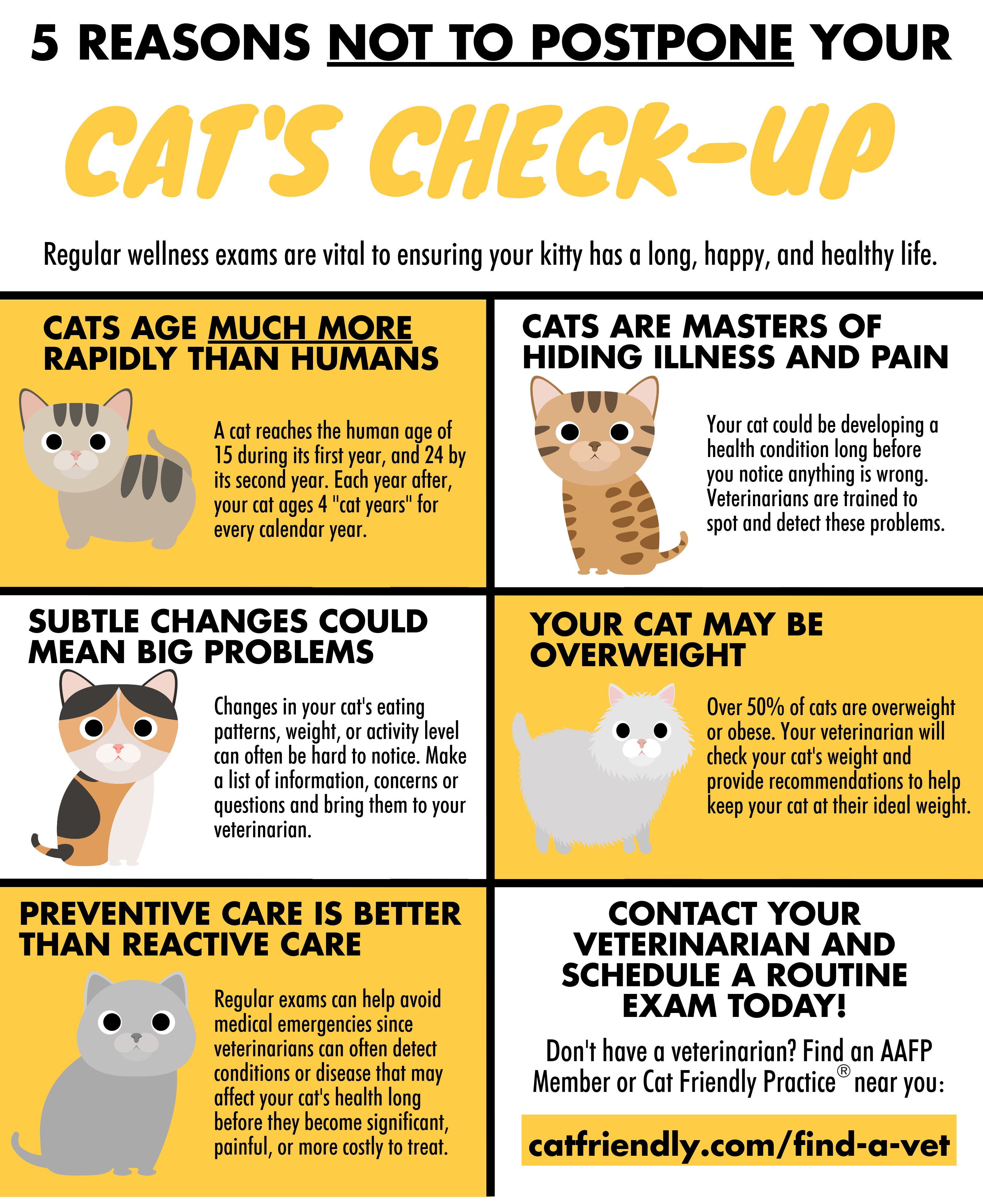 Unsure About Why Should I Get a Cat? Check Out These Reasons