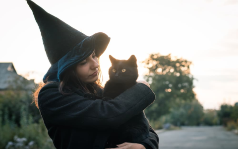 Cool Halloween Names for Cats: Spooky and Fun Ideas for Your Feline Friend!