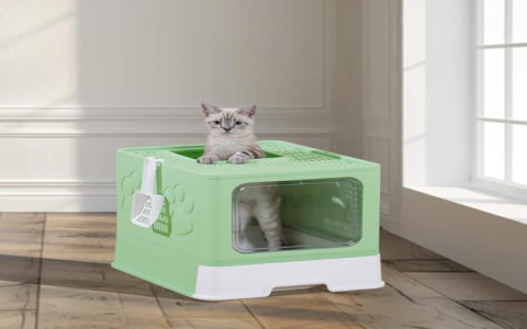 Need a Long Narrow Cat Litter Box? Best Options Reviewed!