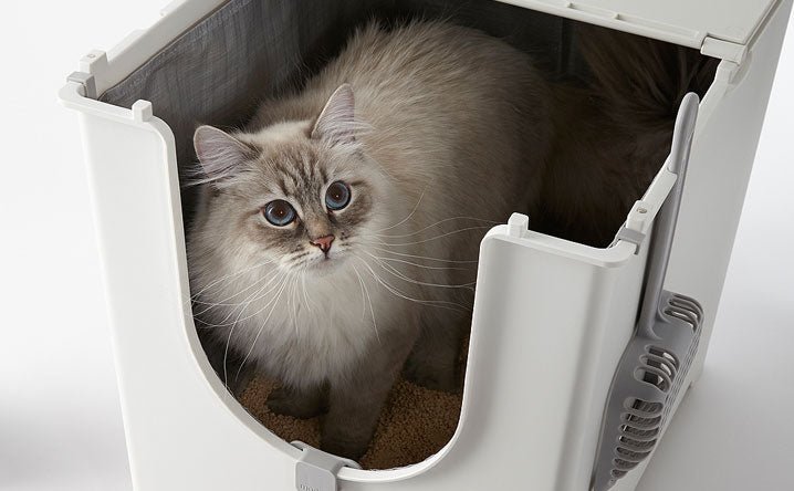 Why Choose a Flip Top Cat Litter Box? Simple Guide!