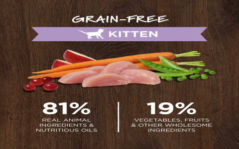 Is Grain-Free Best? Choosing the Right Kitten Food