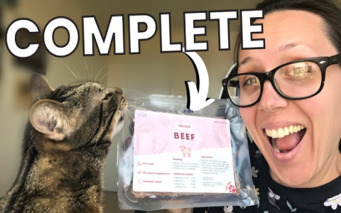 Dr Marty Natures Feast Cat Food Reviews:  A Deep Dive into Ingredients