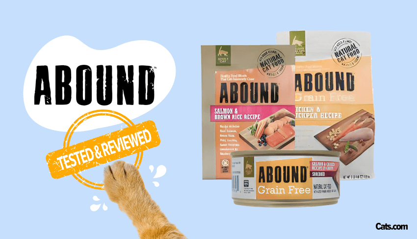 Abound Cat Food: Real Customer Reviews and Ratings!