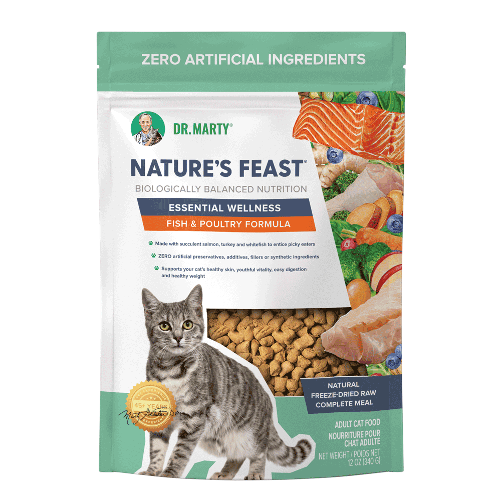 Dr Marty Natures Feast Cat Food Reviews:  A Deep Dive into Ingredients