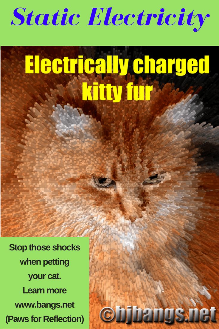 Why is my cats fur static? Simple tips to reduce static cling!