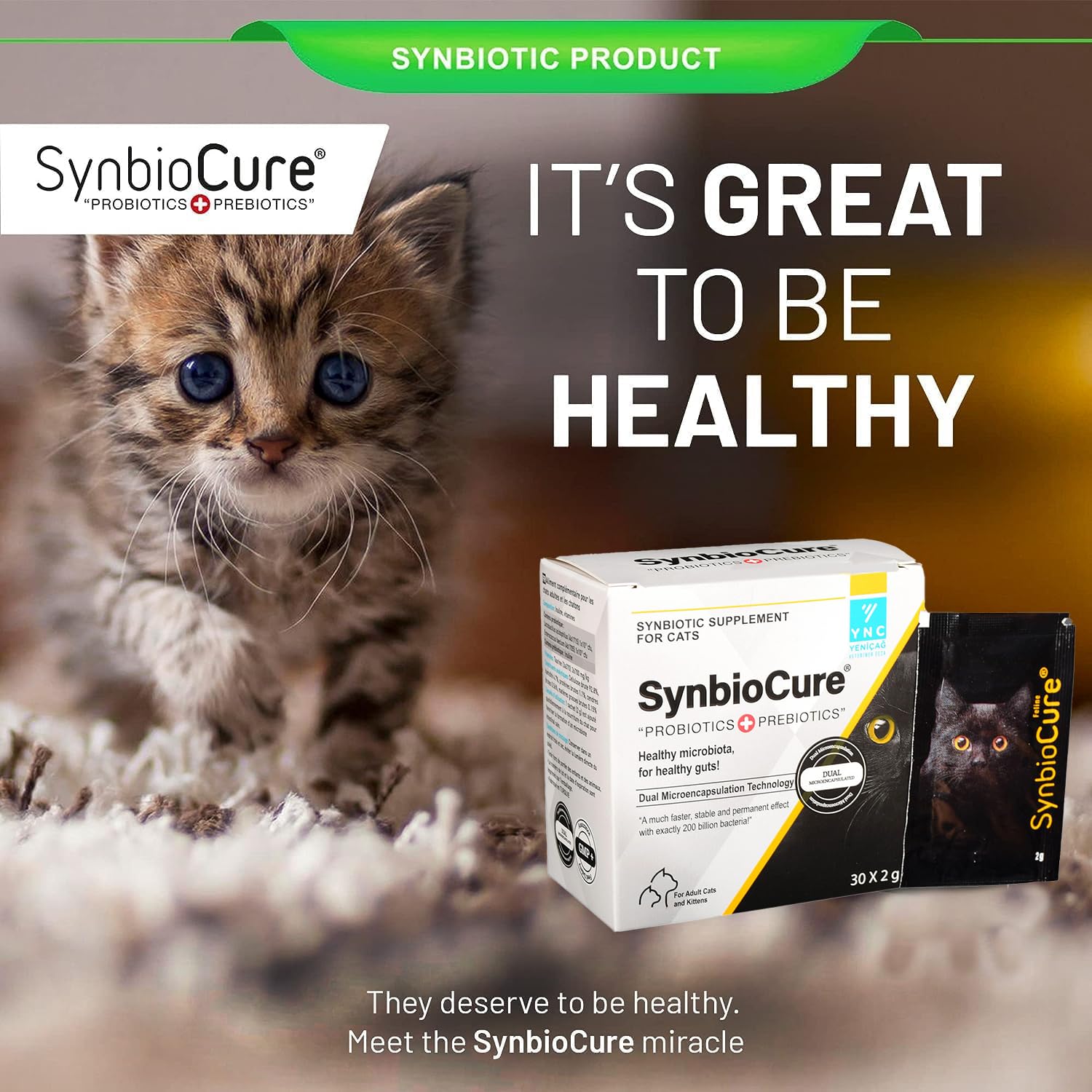 Top Natural Probiotic for Cats, Keep them healthy easily.