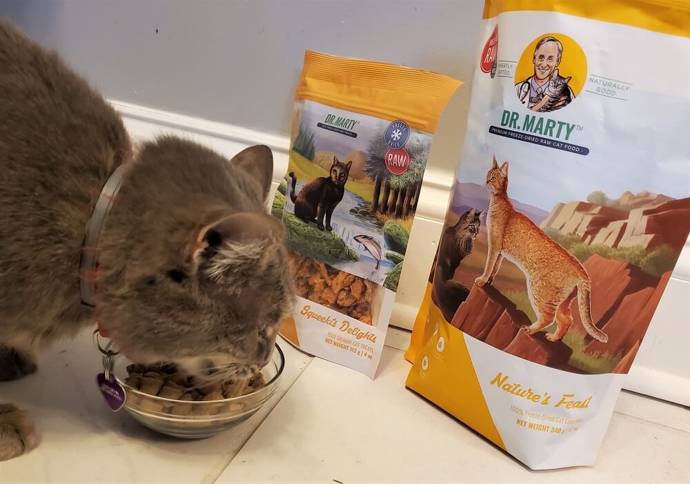 Natures Feast Cat Food Reviews: Unbiased Opinions and Feeding Experiences.