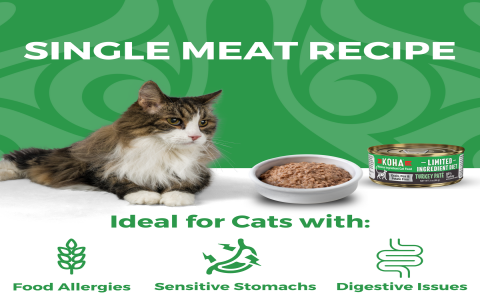 Best Limited Ingredient Wet Cat Food: Top Picks!