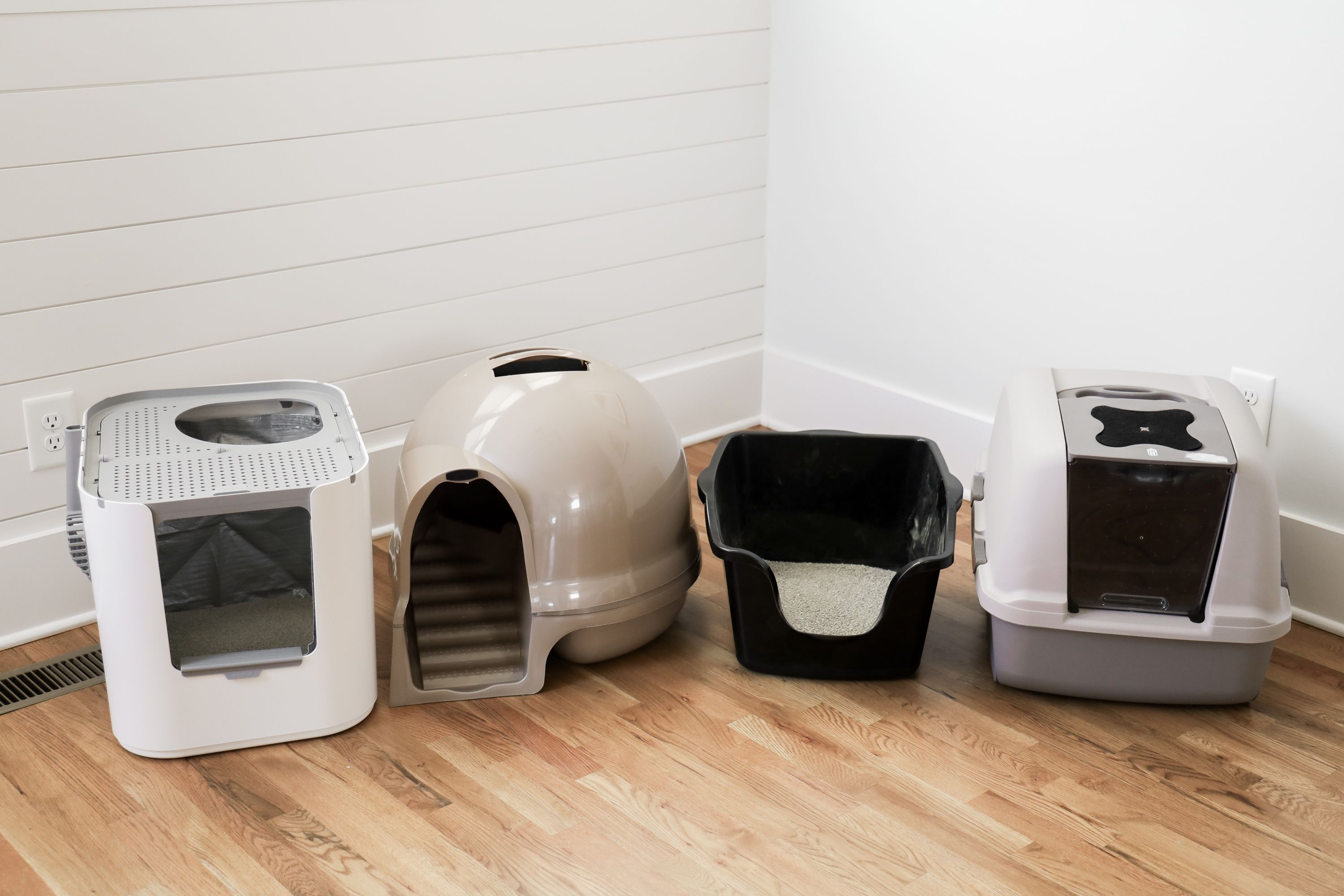 Cat Litter Box Alternatives: Affordable Options That Actually Work.