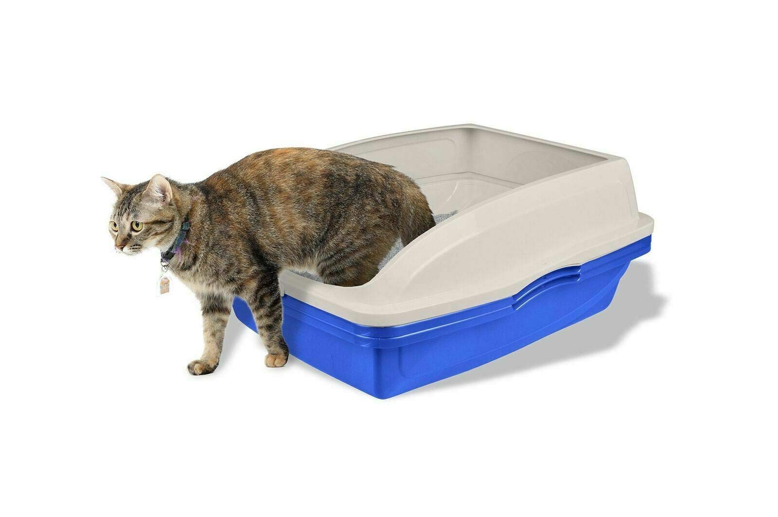 Clean Litter in Seconds: Van Ness Sifting Cat Litter Box Demo