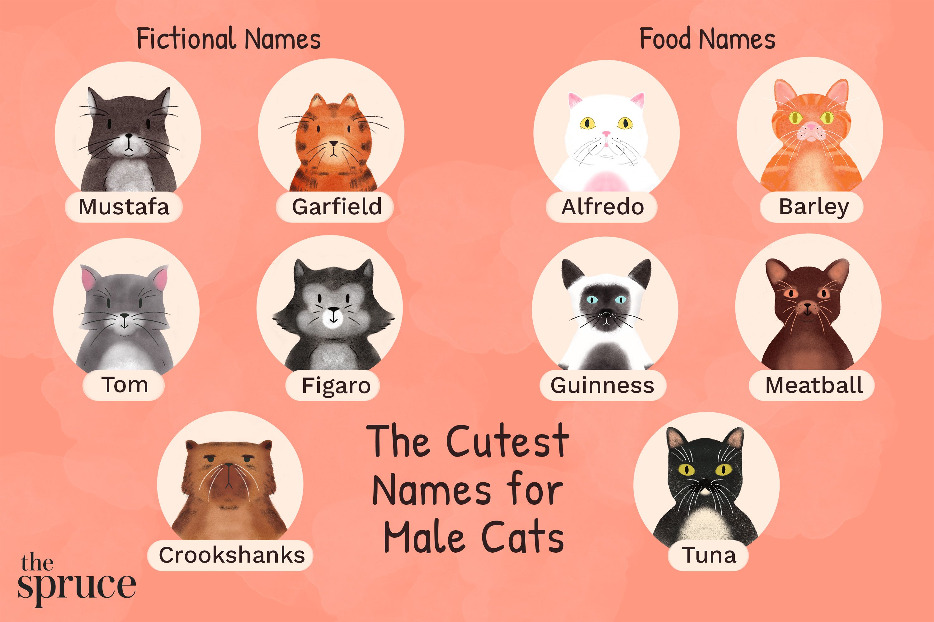 Need Names for Cats Without Tails? Check Out This Awesome List!