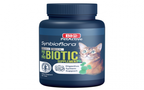 Top Natural Probiotic for Cats, Keep them healthy easily.