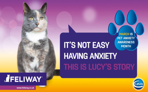 Why is my cat biting herself while grooming? Understand the potential signs of stress or anxiety. Why is my cat biting herself while grooming? Understand the potential signs of stress or anxiety.